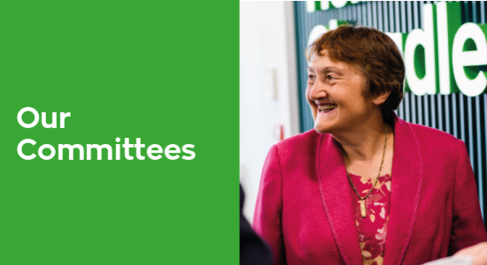 Our Board Committees, Terms of Reference