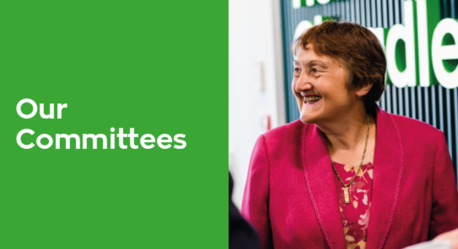 Our Board Committees